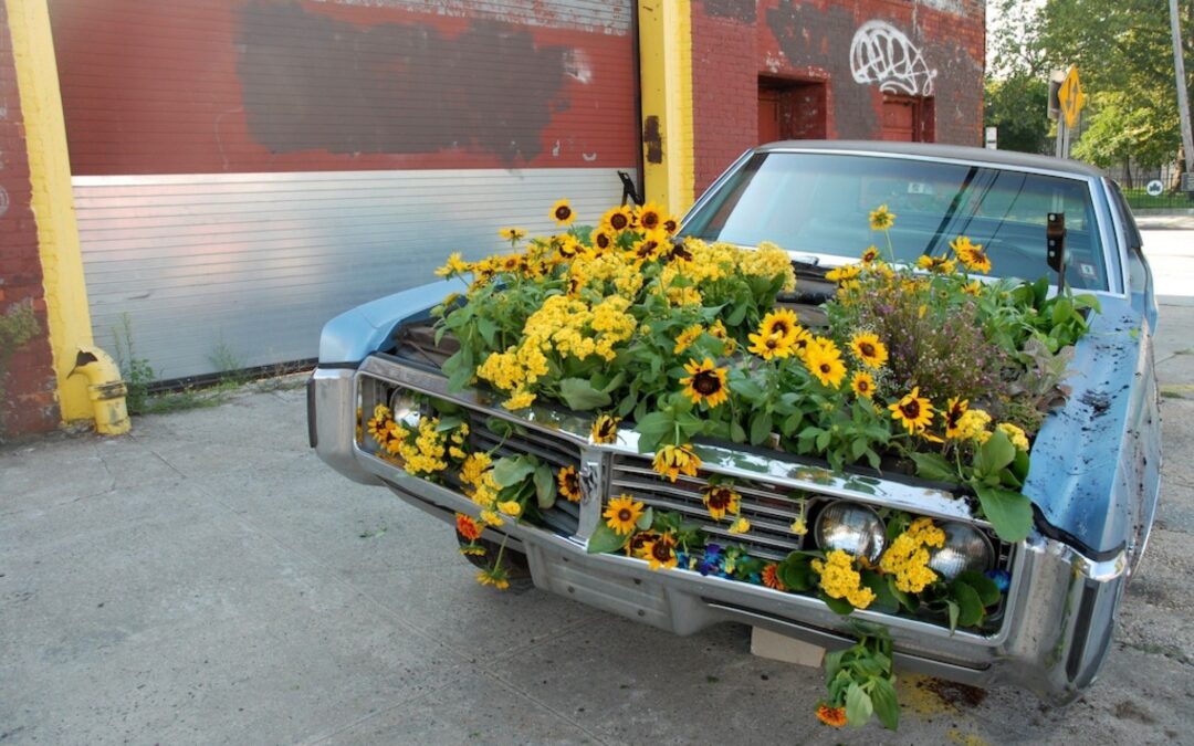 Guerrilla Gardening:  Illicitly Planting Flowers In Open Public Spaces